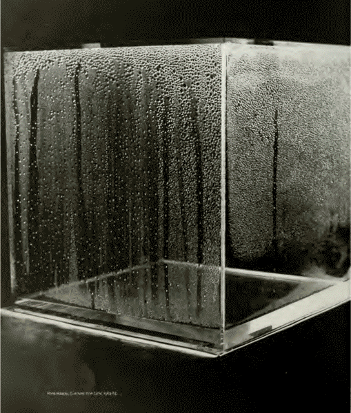 Hans Haacke Condensation Cube 1965