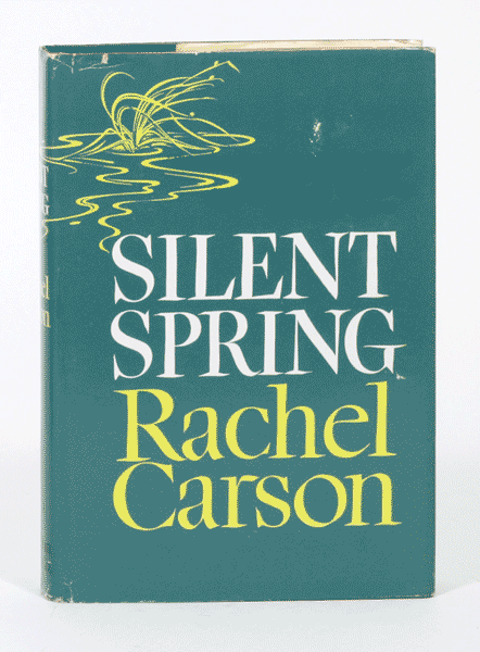 Swimming with Rachel Carson by Stefanie Hessler