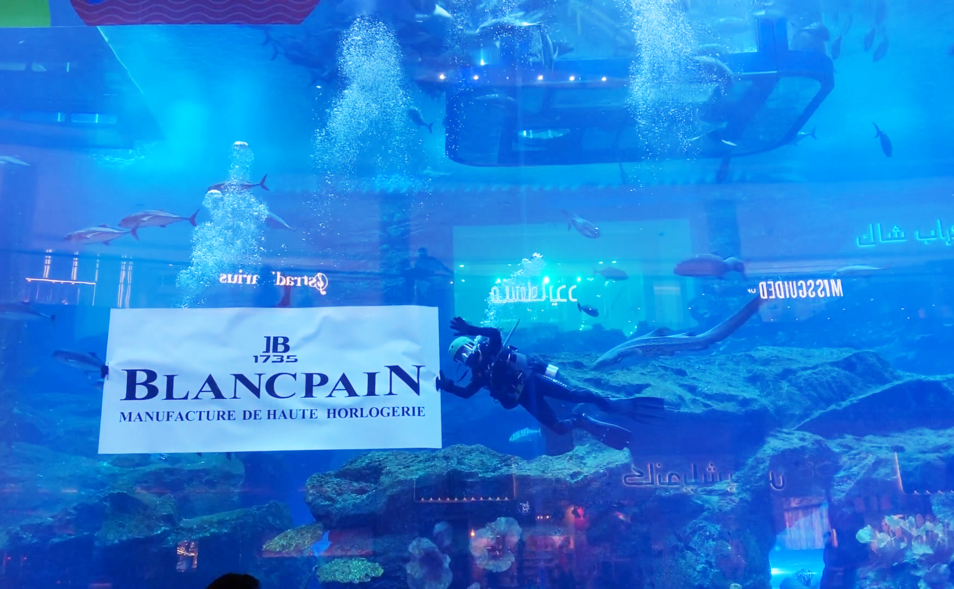 Dubai mall Aquarium