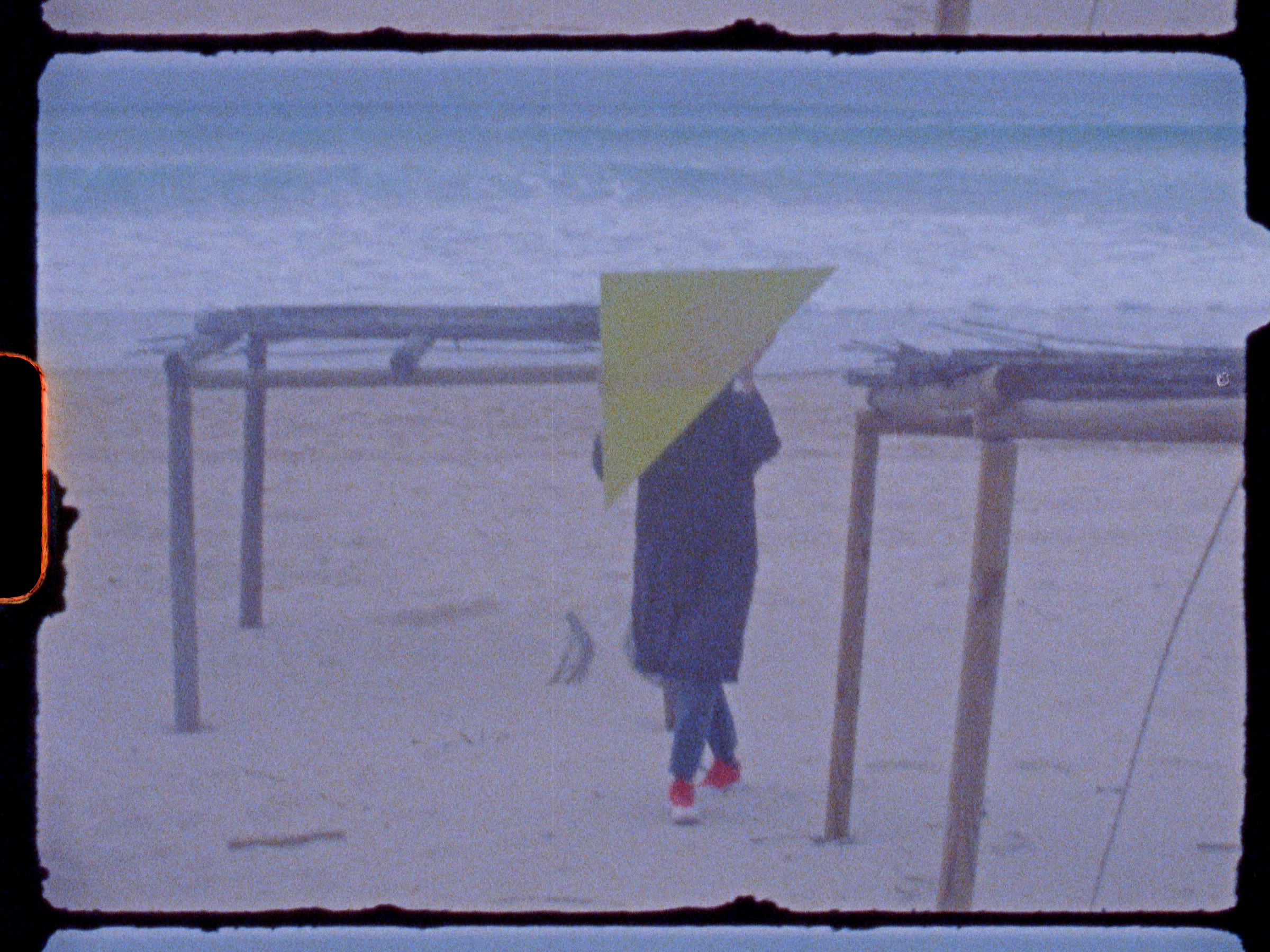 Terra-Triangular, Ana Cardoso, film still