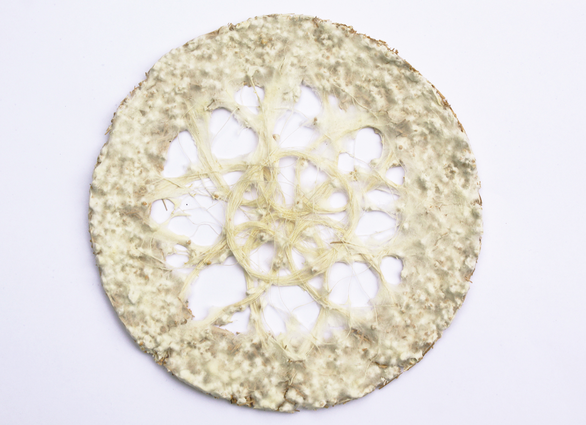 mycelium textiles lace assembly carole collet 2019